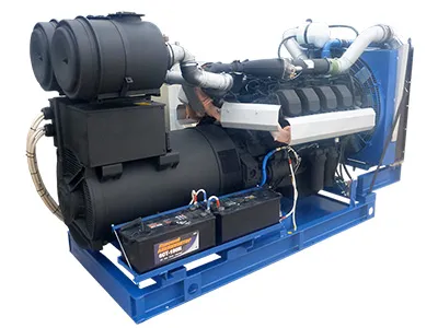 Дизельный генератор ПСМ АД-315 (ТМЗ) в контейнере с АВР