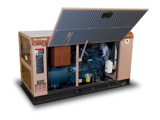 Дизельный генератор Toyo TG-12SBS