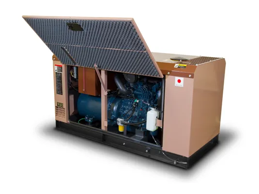 Дизельный генератор Toyo TG-12SBS