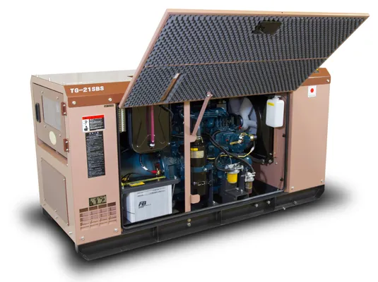 Дизельный генератор Toyo TG-21SBS