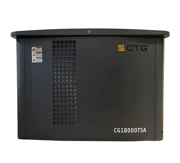 Газовый генератор CTG CG18000TSA с АВР