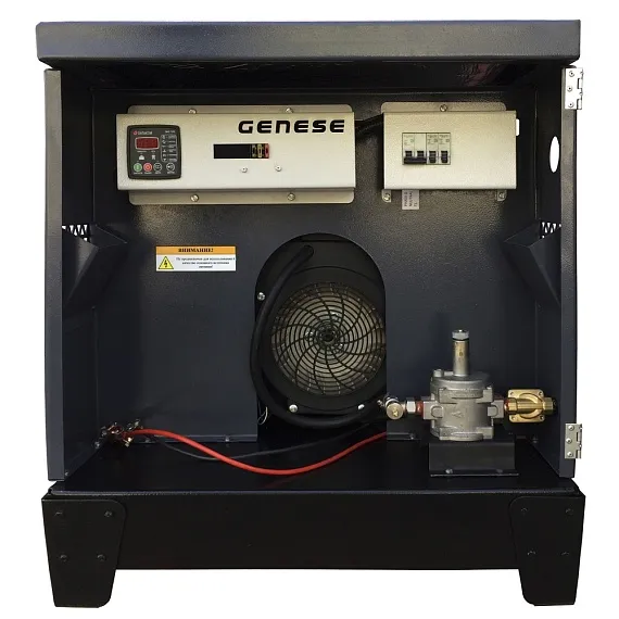 Газовый генератор Genese Standard 12000 Neva в кожухе с АВР