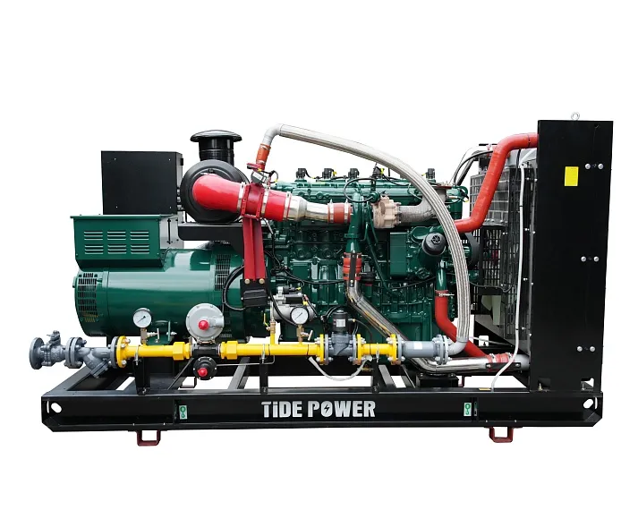 Газовый генератор Tide Power TCM625G в контейнере с АВР