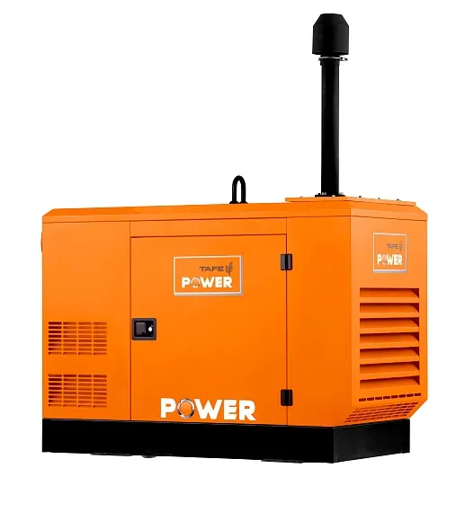 Дизельный генератор TAFE Power TAF-P-30W 1 фаза