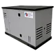 Газовый генератор REG ARCTIC GG10-230S