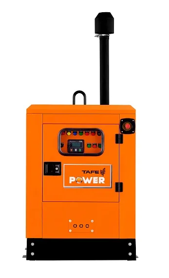 Дизельный генератор TAFE Power TAF-P-30W 1 фаза