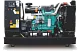 Дизельный генератор CTG 220C с АВР