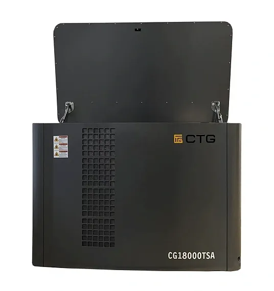 Газовый генератор CTG CG18000TSA с АВР