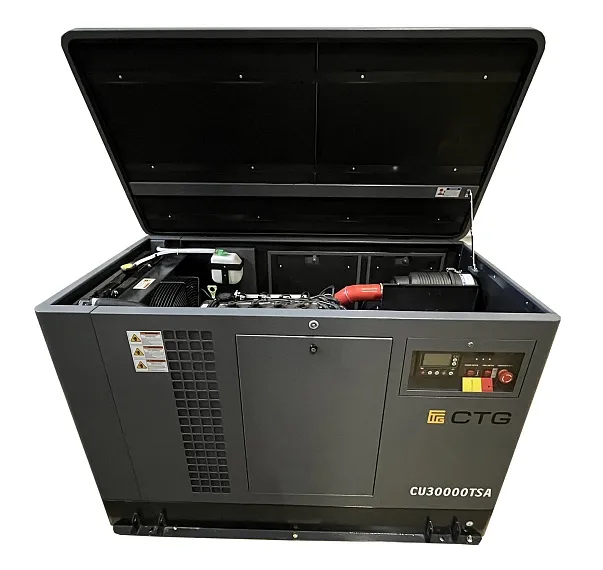 Газовый генератор CTG CU30000TSA с АВР