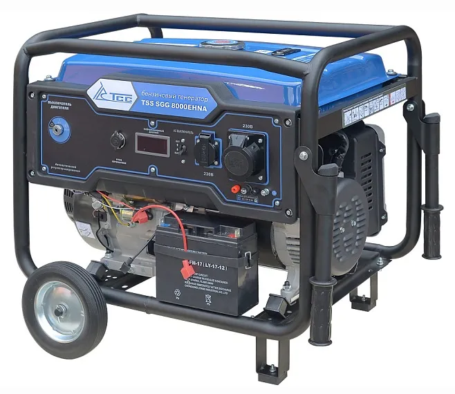 Бензиновый генератор ТСС SGG 8000EHNA с АВР