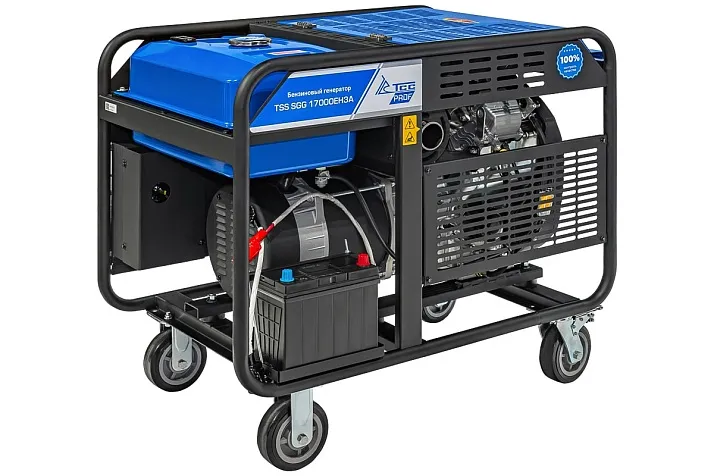 Бензиновый генератор ТСС SGG 17000EH3A с АВР