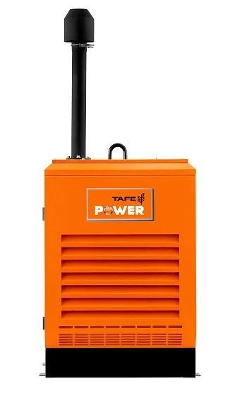Дизельный генератор TAFE Power TAF-P-30W 1 фаза
