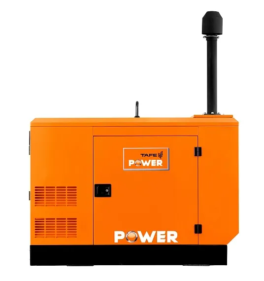 Дизельный генератор TAFE Power TAF-P-30W 1 фаза