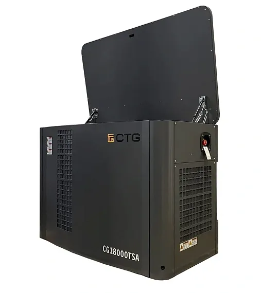 Газовый генератор CTG CG18000TSA с АВР