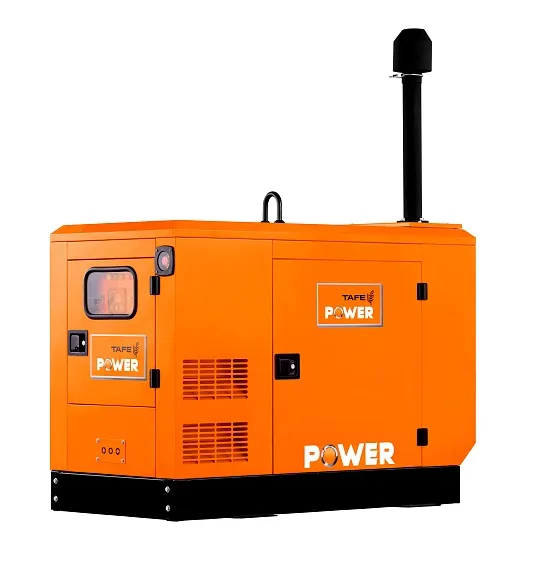 Дизельный генератор TAFE Power TAF-P-30W 1 фаза